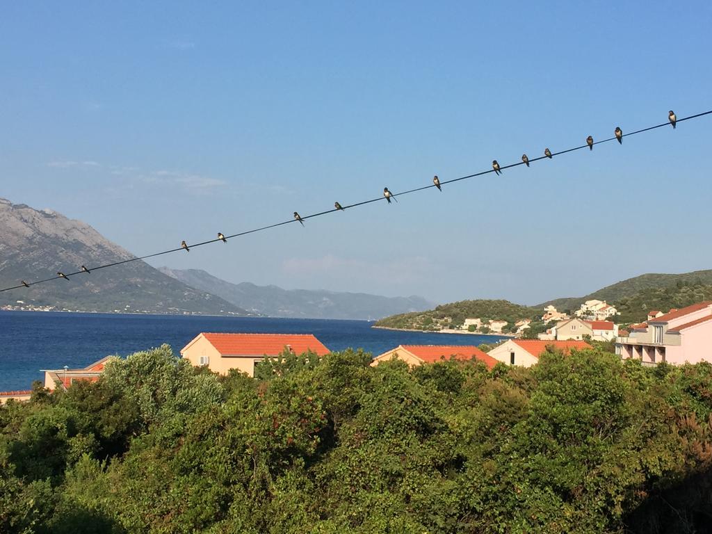 Apartments Oxygen Račišće Dış mekan fotoğraf